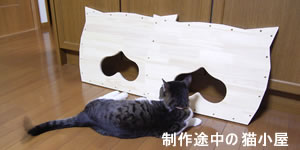制作途中の猫小屋
