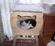 Kemeko in the cat house