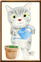 ǭ����Ƥ�ࡼ�����